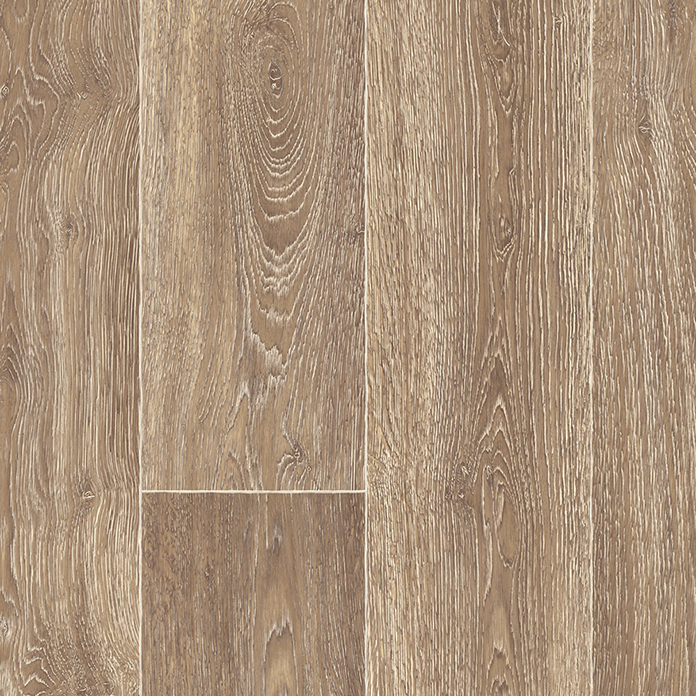 CHAPARRAL OAK 44.tif