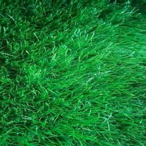 Pretty Grass Greenline 50мм